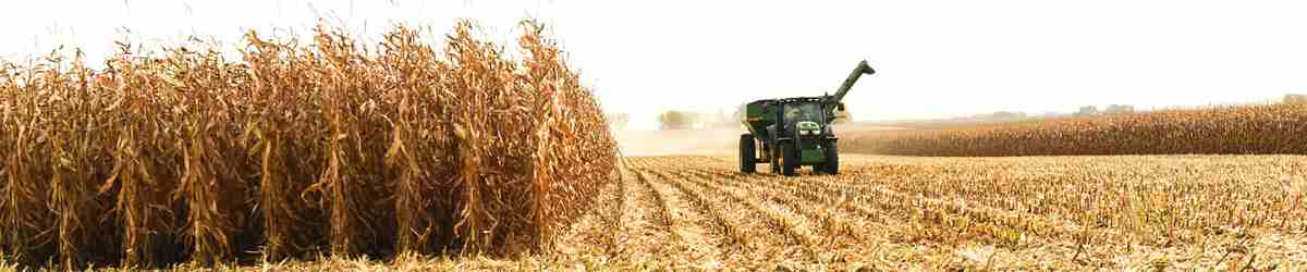 combine in field