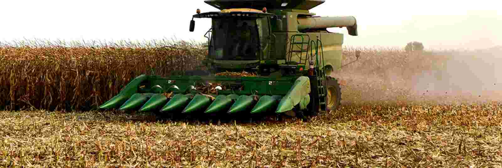 combine harvesting corn